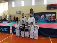 I tura Śląskiej Ligi Judo (2020) Ożarowice