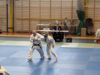 Mistrzostwa Śląska Kata (2026) Pawłowice