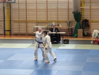 Mistrzostwa Śląska Kata (2026) Pawłowice