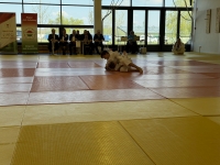 Otwarte Międzynarodowe Mistrzostwa Węgier Judo Kata (2026) Cegléd (Węgry)