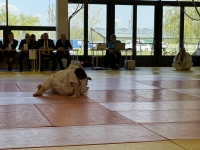 Otwarte Międzynarodowe Mistrzostwa Węgier Judo Kata (2026) Cegléd (Węgry)