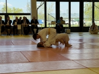 Otwarte Międzynarodowe Mistrzostwa Węgier Judo Kata (2026) Cegléd (Węgry)