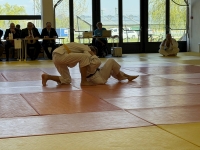 Otwarte Międzynarodowe Mistrzostwa Węgier Judo Kata (2026) Cegléd (Węgry)