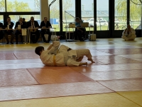 Otwarte Międzynarodowe Mistrzostwa Węgier Judo Kata (2026) Cegléd (Węgry)