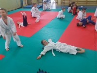 I tura Śląskiej Ligi Judo (2019) Ożarowice