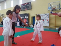 I tura Śląskiej Ligi Judo (2019) Ożarowice