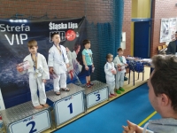 I tura Śląskiej Ligi Judo (2019) Ożarowice